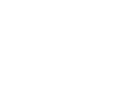 Google Gemini