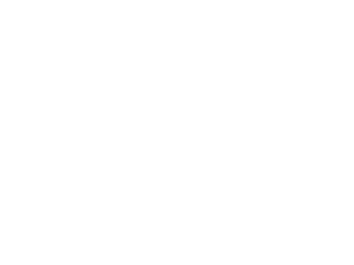 Sora